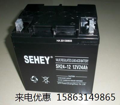 SEHEY/西力12V24AH蓄电池NP24-12胶体UPS电池消防EPS直流屏