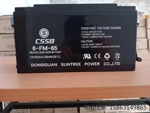 CSSB6 65铅酸免维护12V65AH直流屏UPS应急电源EPS用