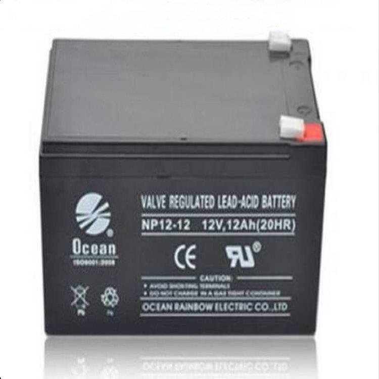 NP12-12 无污染耐腐蚀型 观光车高尔夫球车电动玩具电