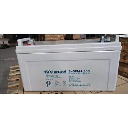 华富蓄电池6-GFM-100免维