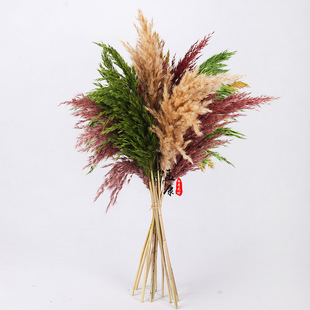 小芦柴干花花束高级感侘寂风婚庆装饰柴芦干燥花芦苇花仿真花