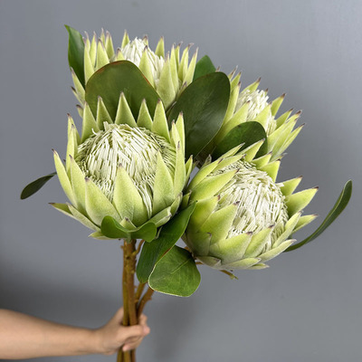 南非帝王花仿真花家居装饰插花
