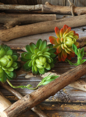 家庭装饰带花睡莲多肉植物仿真花婚庆花墙植物墙假花MW17693