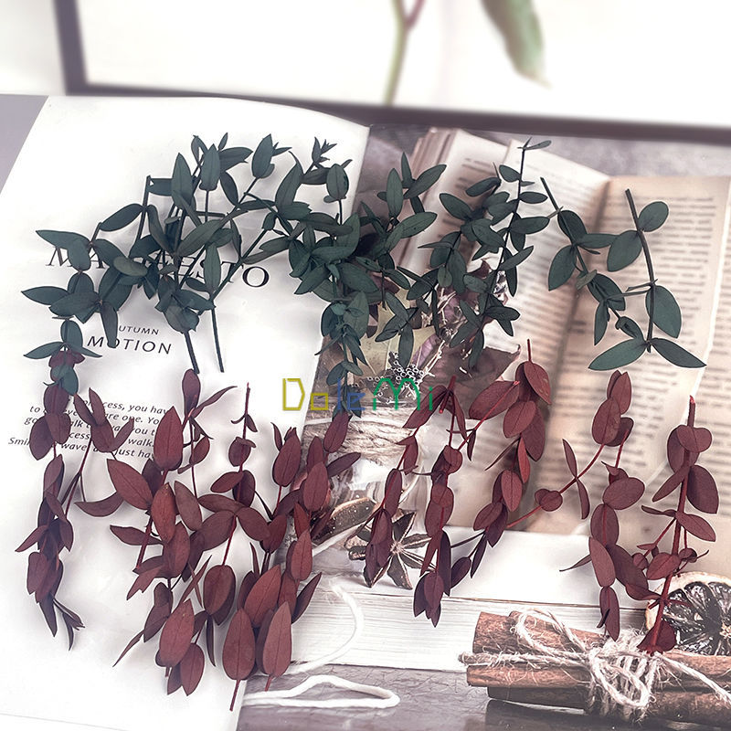 diy材料包细长配叶小清新森系装饰复古摆件尤加利叶永生干花