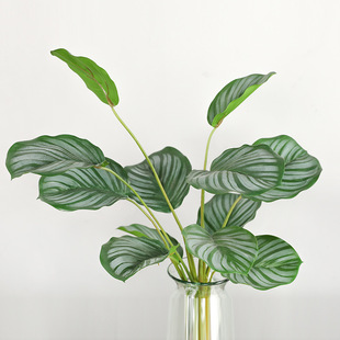 新款网红仿真竹芋青苹果叶北欧ins家居装饰仿真假花绿植