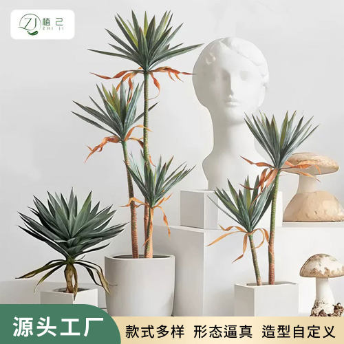 狭叶龙血树仿真绿植凤尾丝兰荷兰