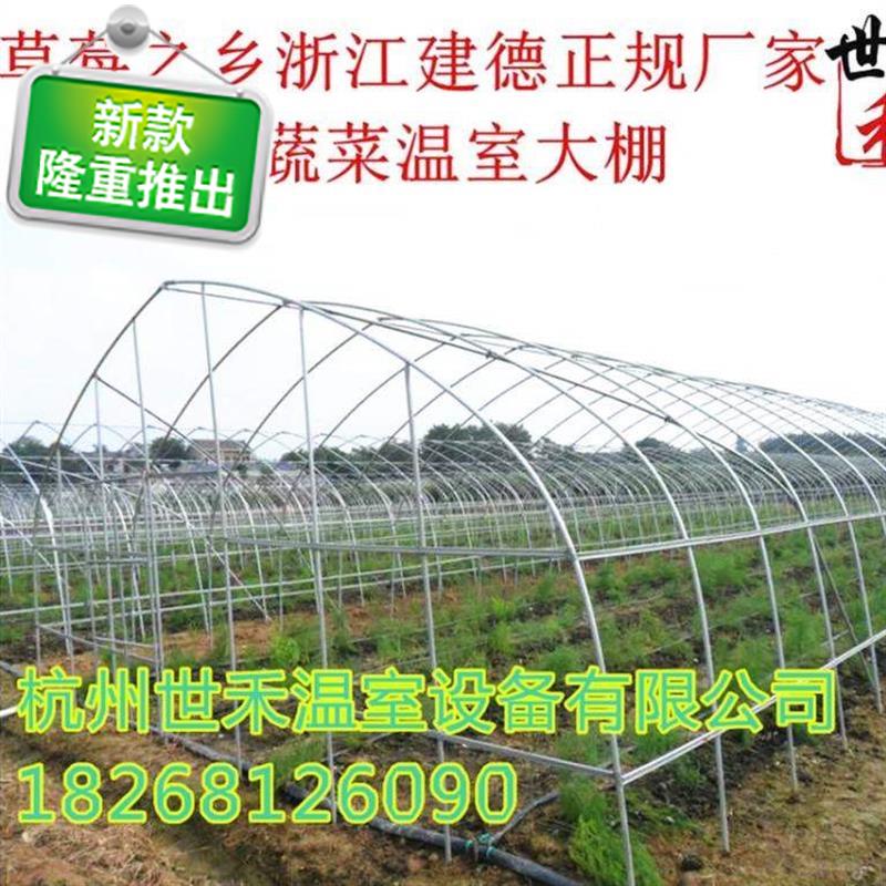 825热s镀锌大棚骨架温室大棚 热浸锌钢管大棚蔬菜大棚大棚骨架