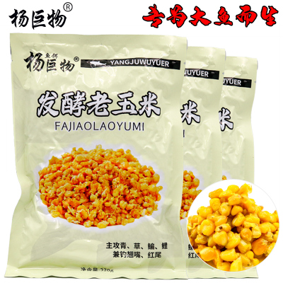 杨巨物老玉米发酵玉米青鱼草鱼鳊鱼鲤鱼翘嘴红尾打窝挂饵诱鱼留鱼