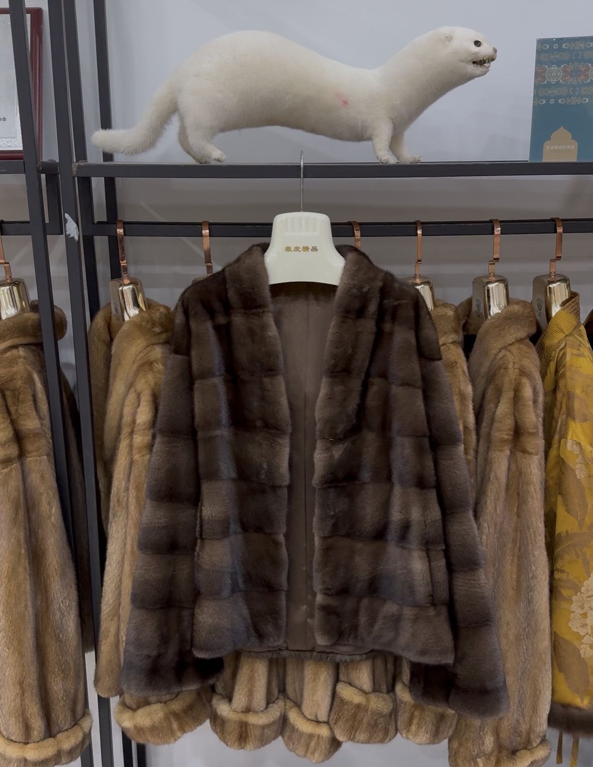 VGass┆高奢横排丹麦进口天鹅绒短二母貂水貂