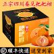 包邮 春见耙耙柑新鲜应季 水果顺丰 正宗四川柑桔纯甜带叶特级优质果