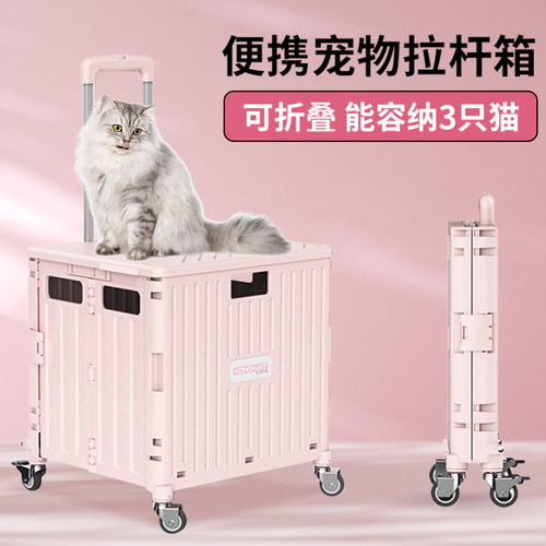便携可折叠宠物大容量