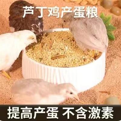 芦丁鸡饲料产蛋粮冬季下蛋专用小鸡幼鸡育雏开口粮卢丁鸡食物粮食