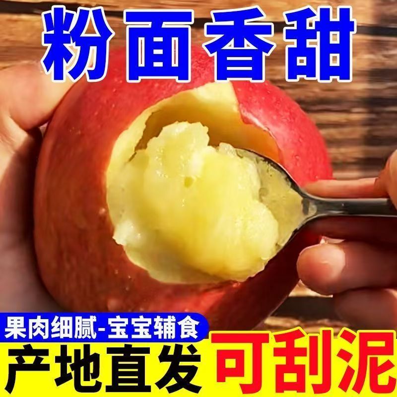 山西运城红星粉面苹果粉面香甜