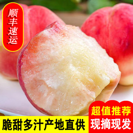 【2026头茬】山西水蜜桃新鲜大毛桃现摘当季水果应季脆甜产地直供