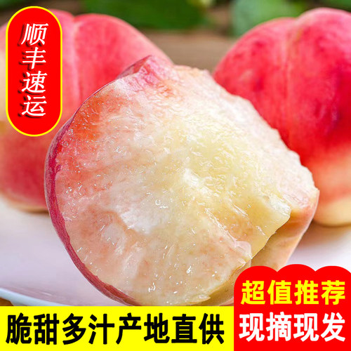 【2026头茬】山西水蜜桃新鲜大毛桃现摘当季水果应季脆甜产地直供
