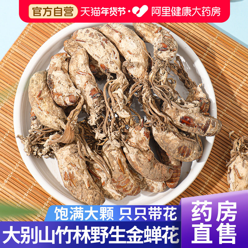 正品金蝉花中草药材野生精选蝉花虫金蚕花知了花2024年官方旗舰店