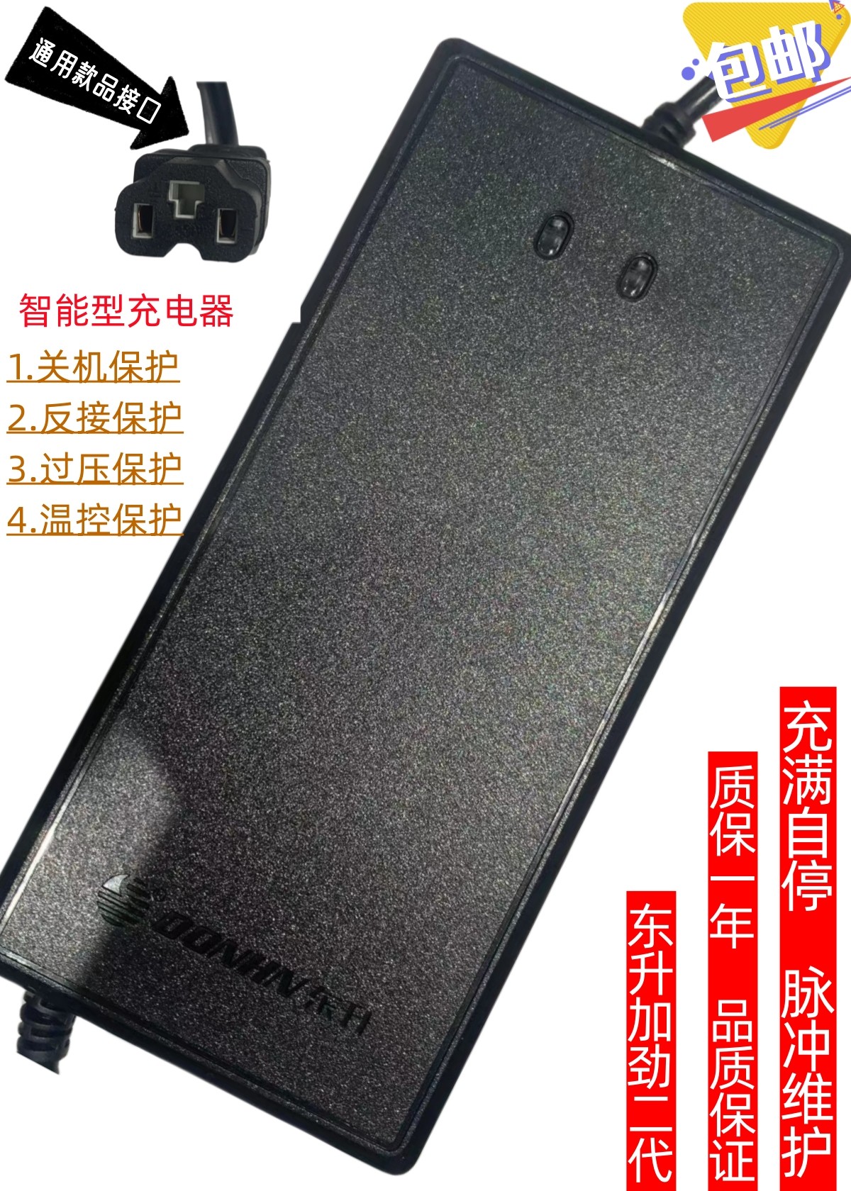 东升电动车电瓶充电器48V12AH20AH60V72小牛雅迪台铃三轮车通用