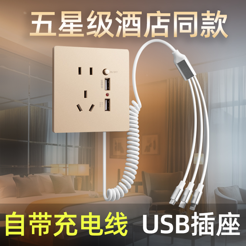 国际电工酒店商务用带线usb插座