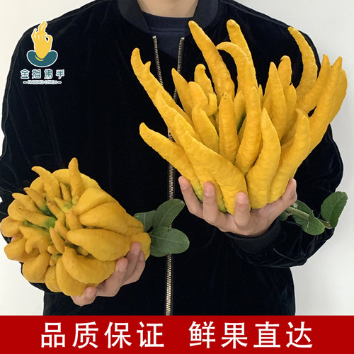 花艺茶道素材模板 花艺茶道图片下载 小麦优选