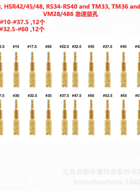 12PCS Mikuni RS HS HSR48化油器TM33怠速量孔Pilot Jet VM28/486
