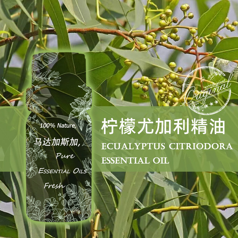 tlzy有机认证柠檬尤加利精油30ml马达加斯加原产驱蚊虫单方精油