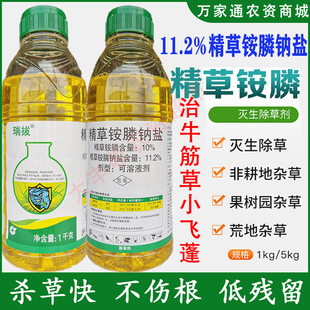 中化瑞拔11.2%精草铵膦钠盐除果园非耕地牛筋草小飞蓬草铵磷农药