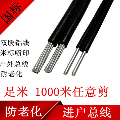 铝芯电缆线16平方电线10黑色双根平行线双股铝线入架空老化2X10平