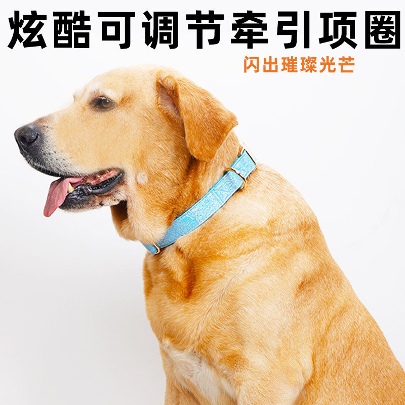 狗狗项圈炫酷金色可调节发光劲圈防爆冲拉布拉多行德牧脖围定制