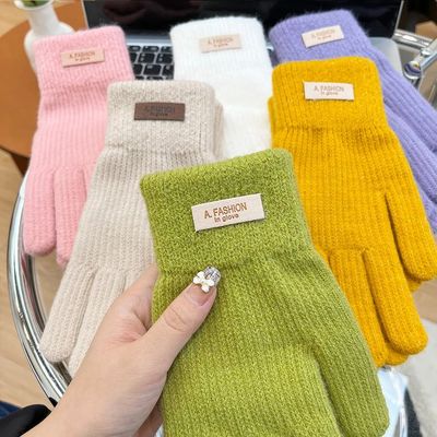 Ladies Winter Fleece Lined Warm Gloves Suitable for Christma