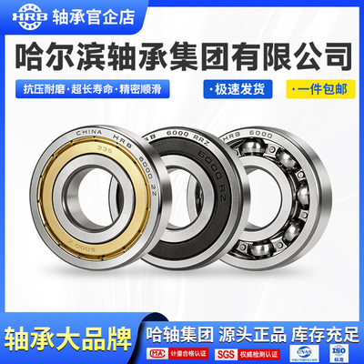 HRB 哈尔滨轴承 6317 6318 6319 2Z 2RZ 深沟球轴承