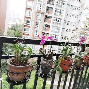 防盗窗悬挂置物架花架窗台室外铁艺支架 阳台栏杆挂钩花盆挂架挂式