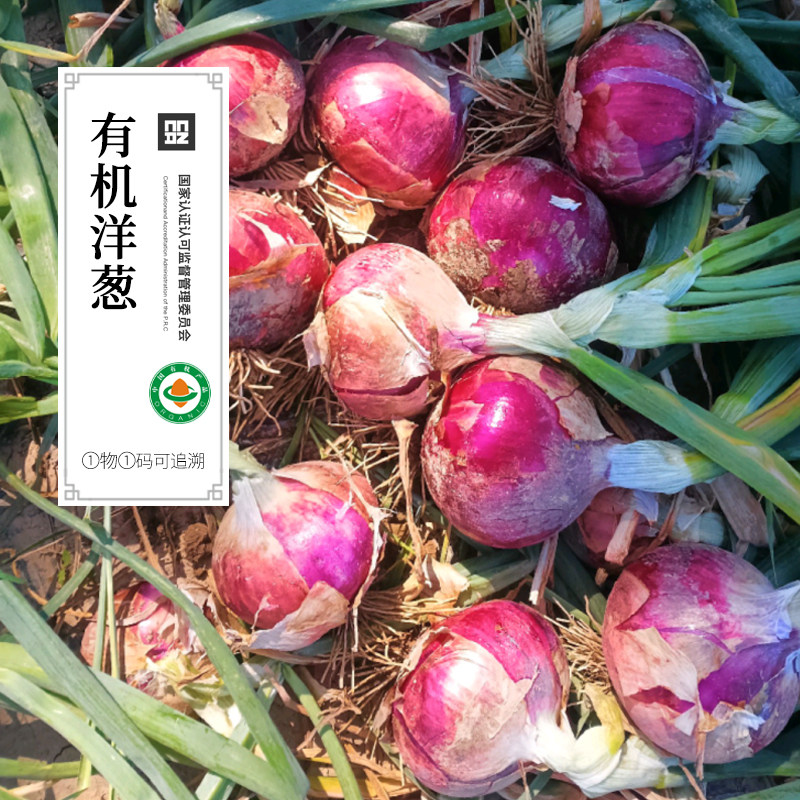 云南有机紫皮洋葱有机蔬菜有机洋葱红葱头当季新鲜蔬菜顺丰