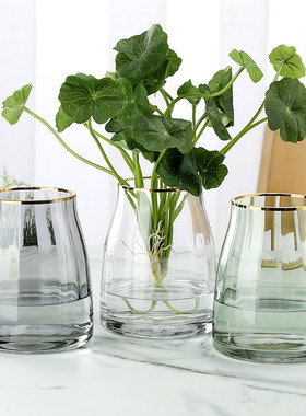 北欧轻奢感玻璃花瓶摆件客厅水培插花透明描金家居装饰品