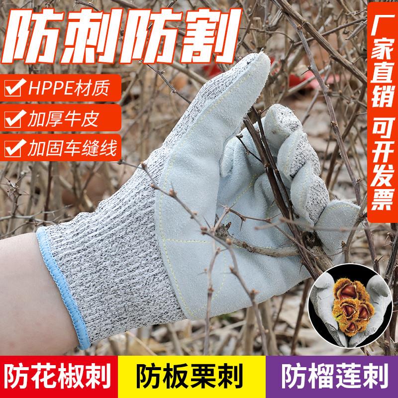 防刺防扎手套防割杀鱼园艺摘板栗花椒耐磨防滑仙人掌玫瑰月季手套