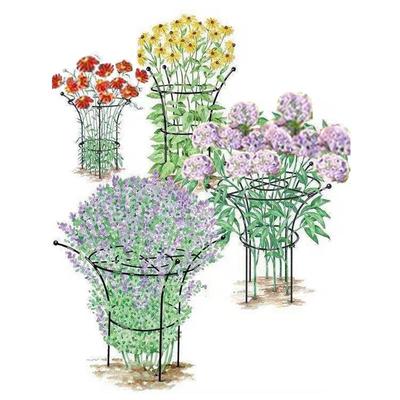 铁艺绣球兰蓝雪花月季花架爬藤架子支撑扶直架固定花卉植物支架杆