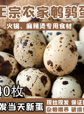 生鹌鹑蛋新鲜140枚现捡农家杂粮喂养生的鸟蛋孕妇辅食
