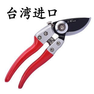 台湾修枝剪园艺剪园林修剪树枝剪省力修枝剪果树剪修花剪T819