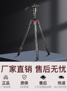 曼比利碳纤维三脚架EP-254C专业摄影脚架直播用碳素三脚架单反相