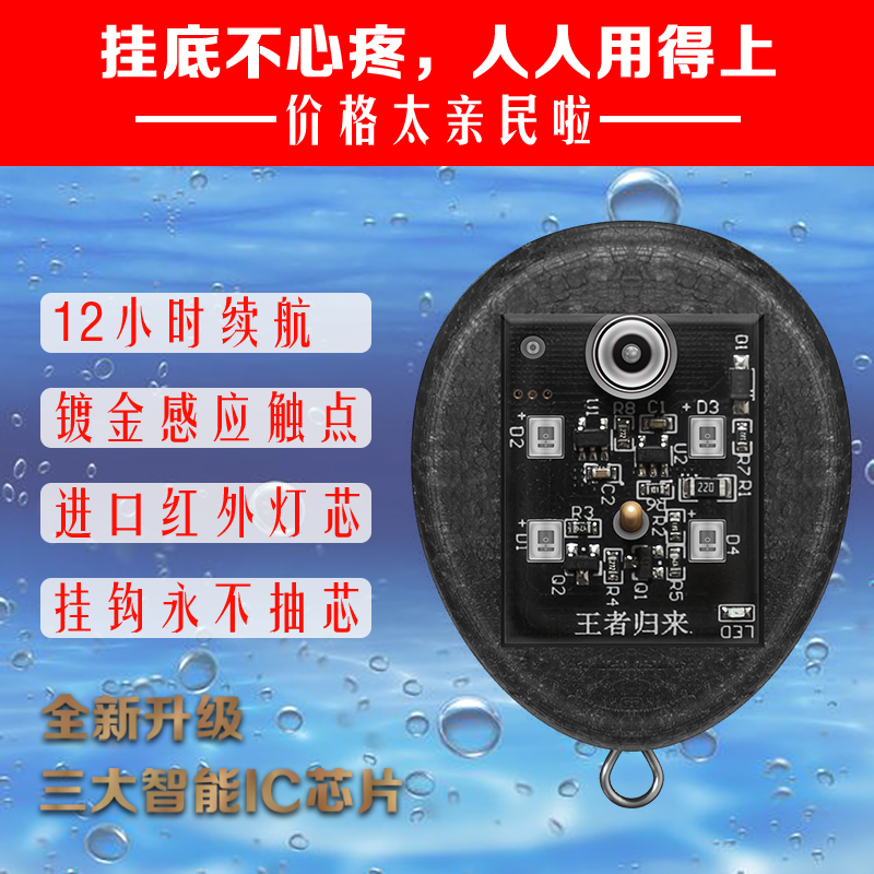 可视锚鱼浮漂高灯新款王者归来钓鱼专用超亮神器防水六代正品夜钓