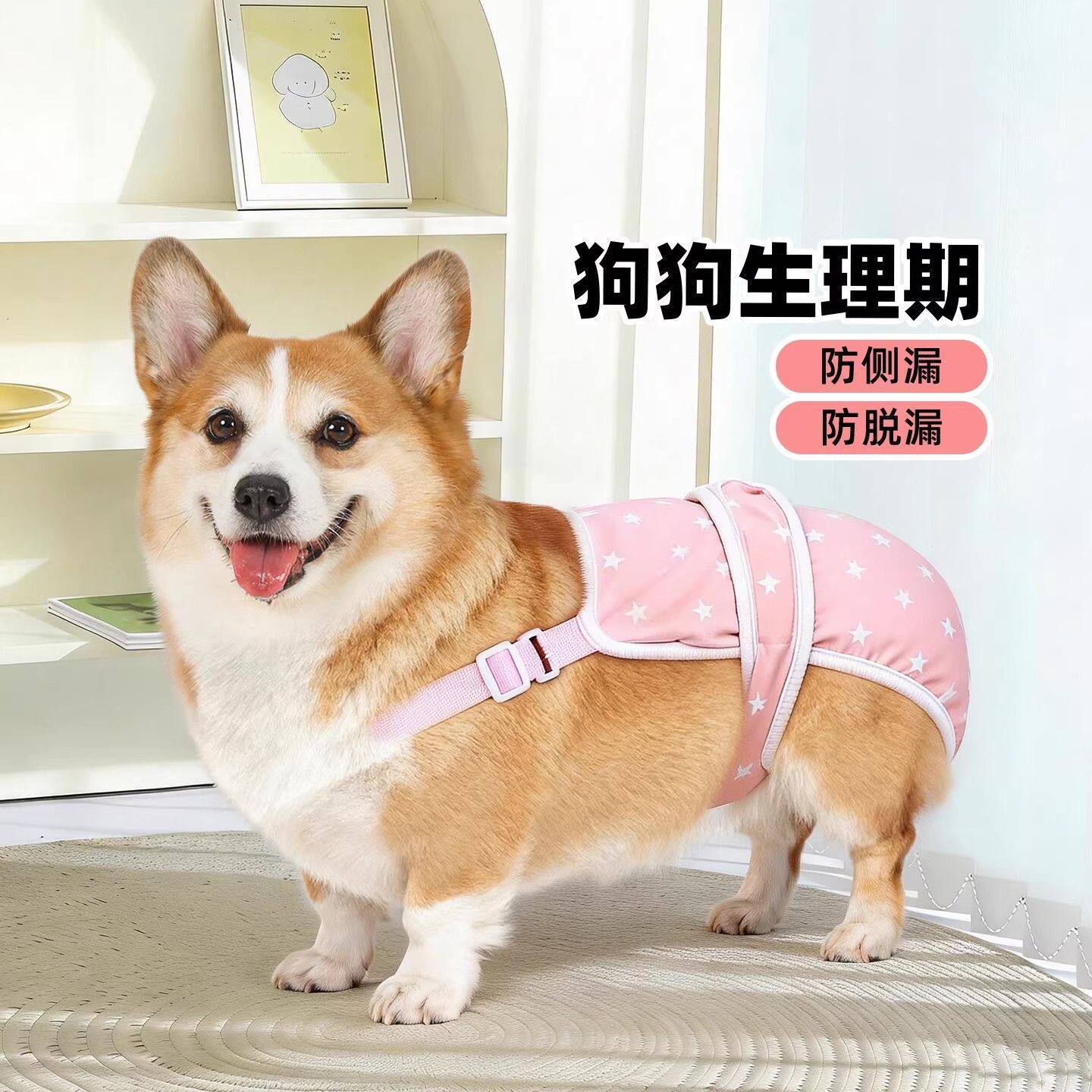 小狗大姨妈生理裤宠物狗狗生理期衣服狗狗生理期安全裤姨妈裤防骚