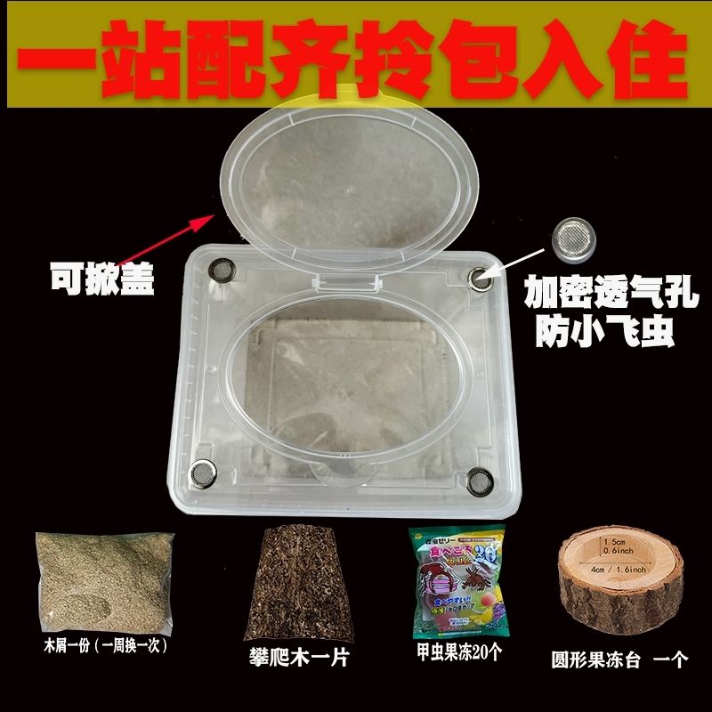天牛饲养盒甲虫成虫饲养盒独角仙成虫锹甲饲养箱兜虫爬虫套装