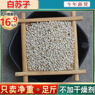 今年新白苏子鸟食鸟粮大颗粒软壳苏籽鹦鹉玉鸟芙蓉鸟金丝雀黄鸟