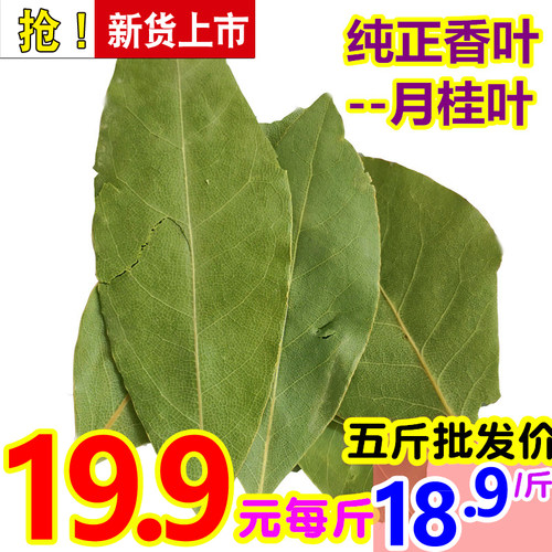纯正月桂叶克包邮卤水火锅用