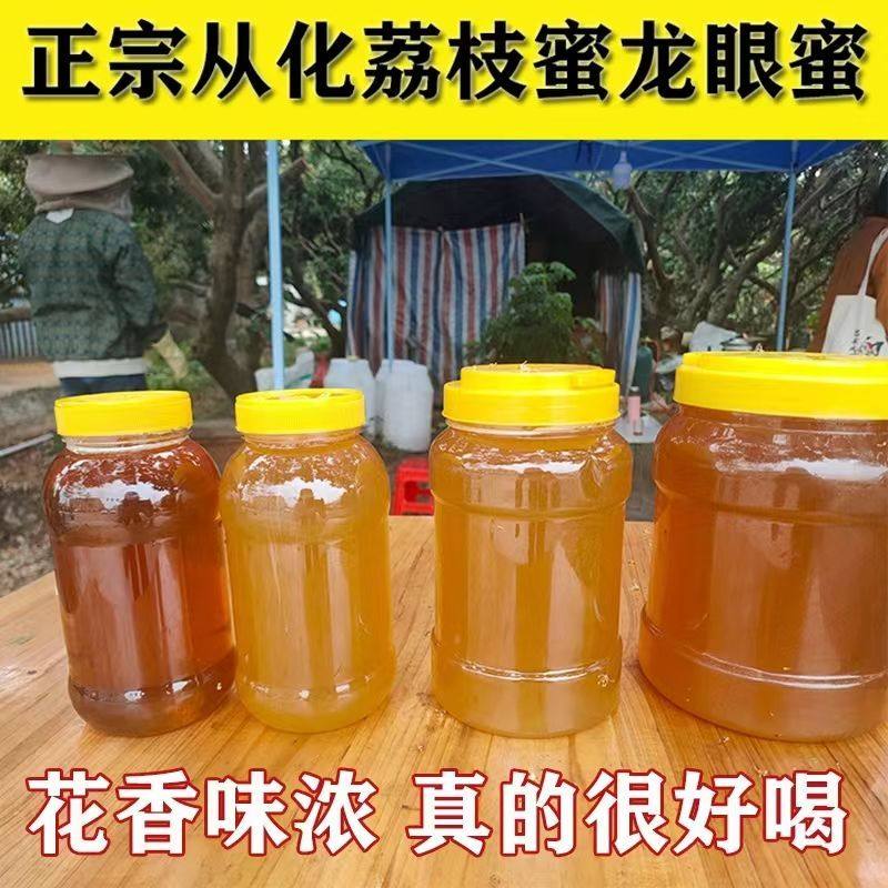 1000g土蜂蜜纯正百花蜜荔枝蜜龙眼蜜天然原蜜0添加,传统滋补营养品,蜂蜜糖/蜂制品,淘宝优惠券,粉丝福利购,淘宝优惠卷