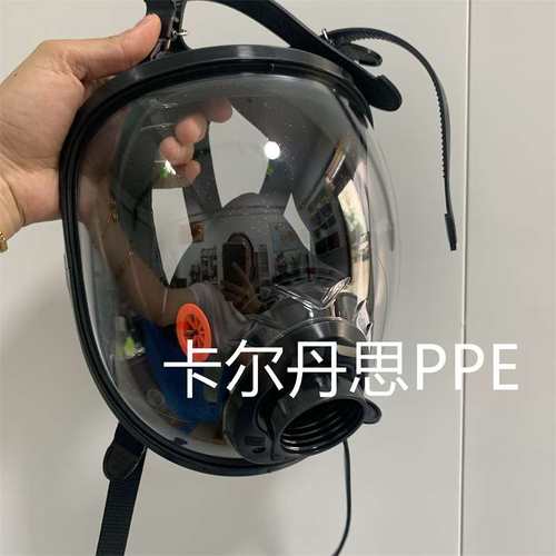 代尔塔105008硅胶全面罩单罐活性炭防毒面具防尘喷漆全面罩M9300