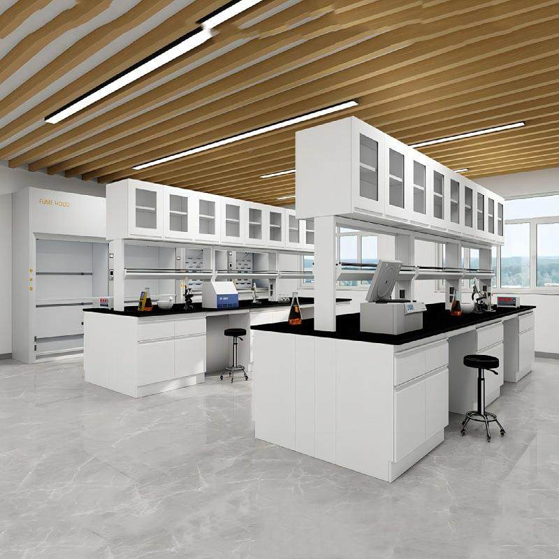 学钢校全钢木实验操作桌实验台化学试验室全中央边台耐酸台碱橱pp,工业油品/胶粘/化学/实验室用品,其他实验室设备,淘宝优惠券,粉丝福利购,淘宝优惠卷