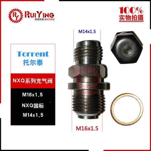 NX器Q蓄能GOO气阀现货QFX-5单向阀囊式蓄充能器气嘴生产厂家