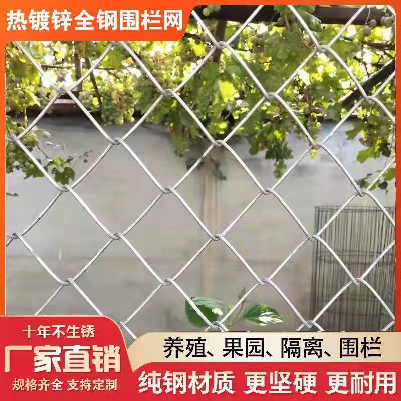 钢丝网铁丝网果园勾花网养鸡网牛羊养殖围栏网网格镀锌防锈