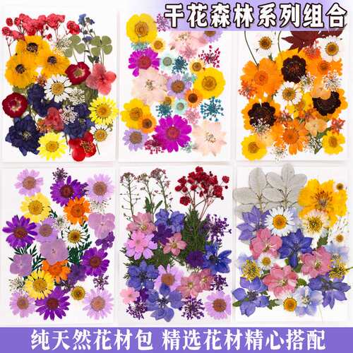 树叶植物标本幼儿园手工贴画DIY干花压花贴脸装饰花妆写真押花