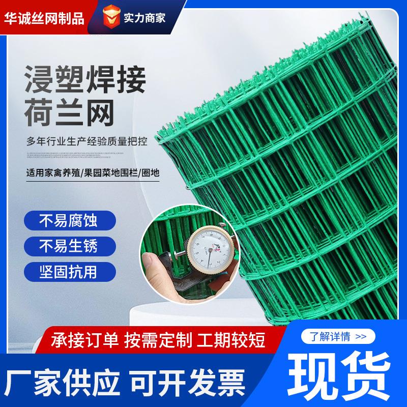 荷兰网隔离防护铁网养殖钢丝护栏绿色焊接小孔防鼠防护养鸡围栏网